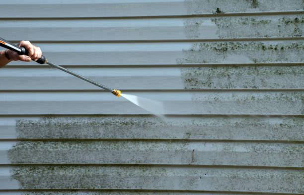 Best Gutter Cleaning  in La Harpe, IL